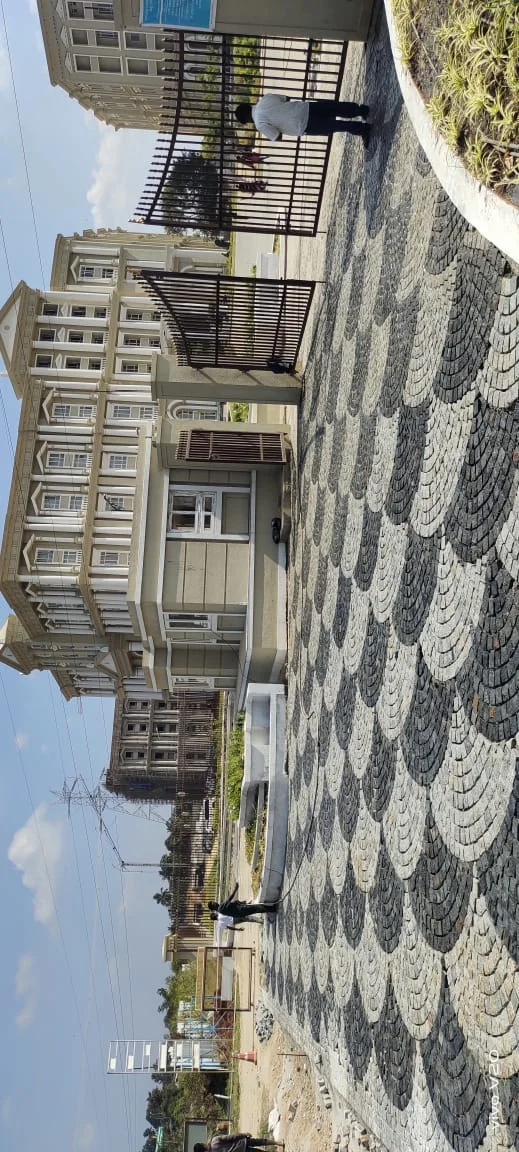 Cobble Stone Lying